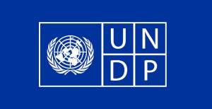 UNDP_logo_blue_940-1-780x400-1